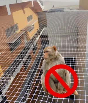 Monkey safety nets for balconies in Vizag